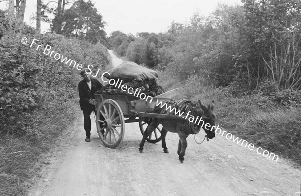 MAN WITH DONKEY AND CART